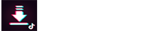 SSSTIKTOK.Co